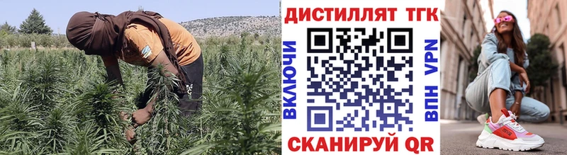 Дистиллят ТГК THC oil  закладки  Кадников 